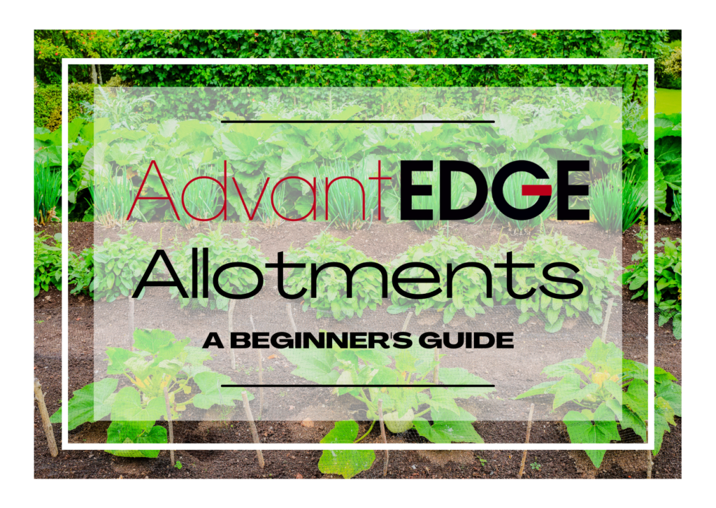 allotments-a-beginner-s-guide-edge-it-systems