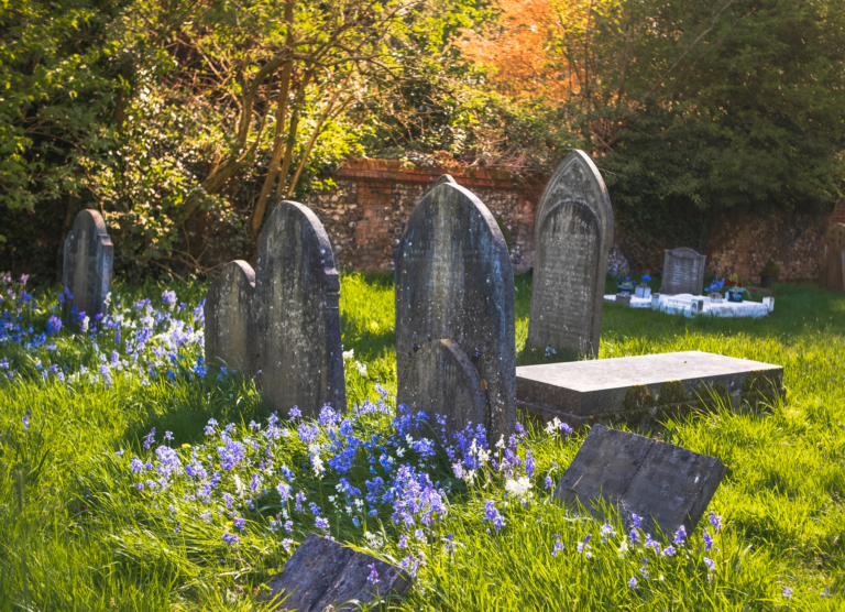 How Cemetery Mapping Works EDGE IT Systems